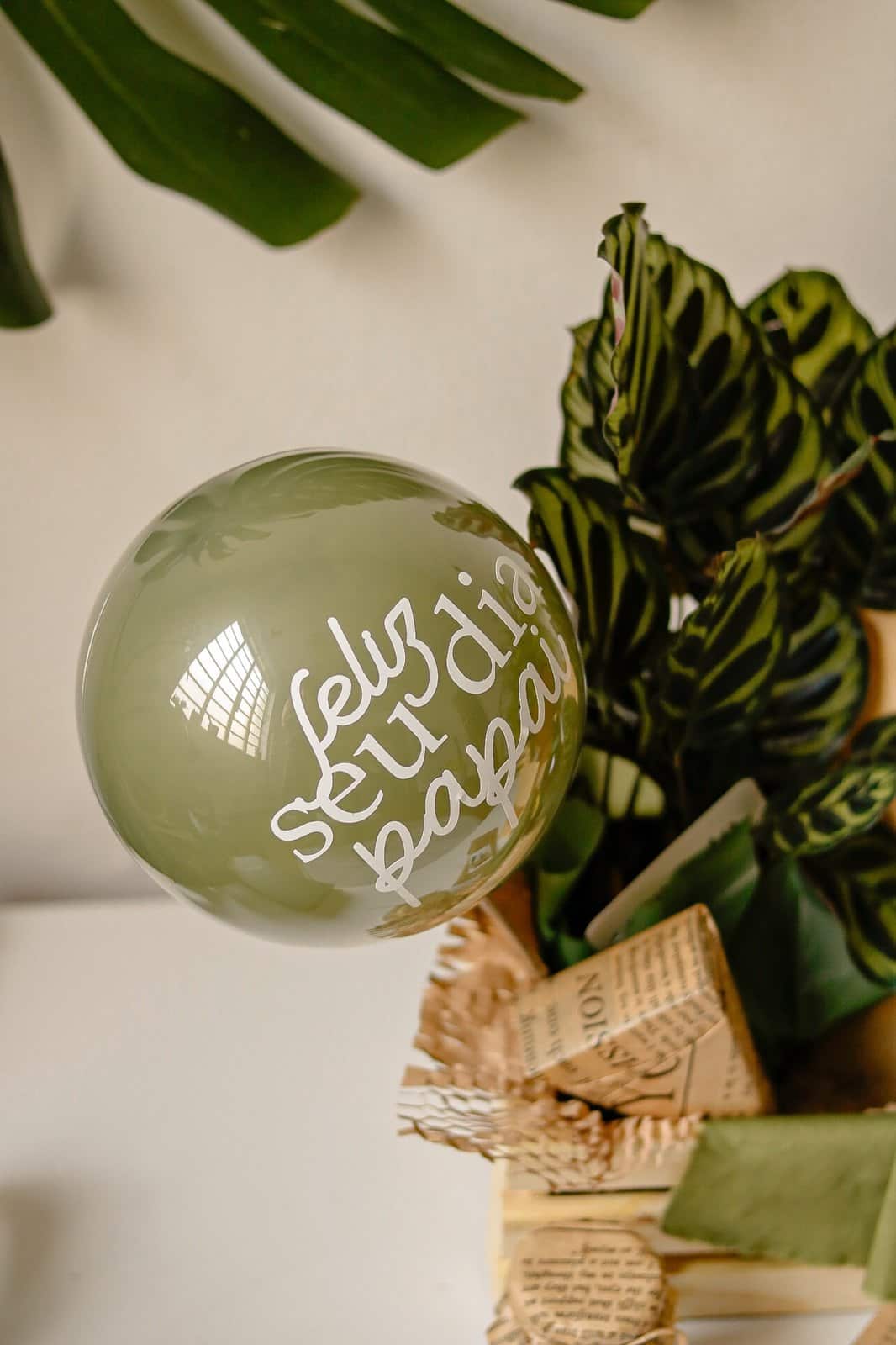 Caixote Maranta Colorado Lote 3 5