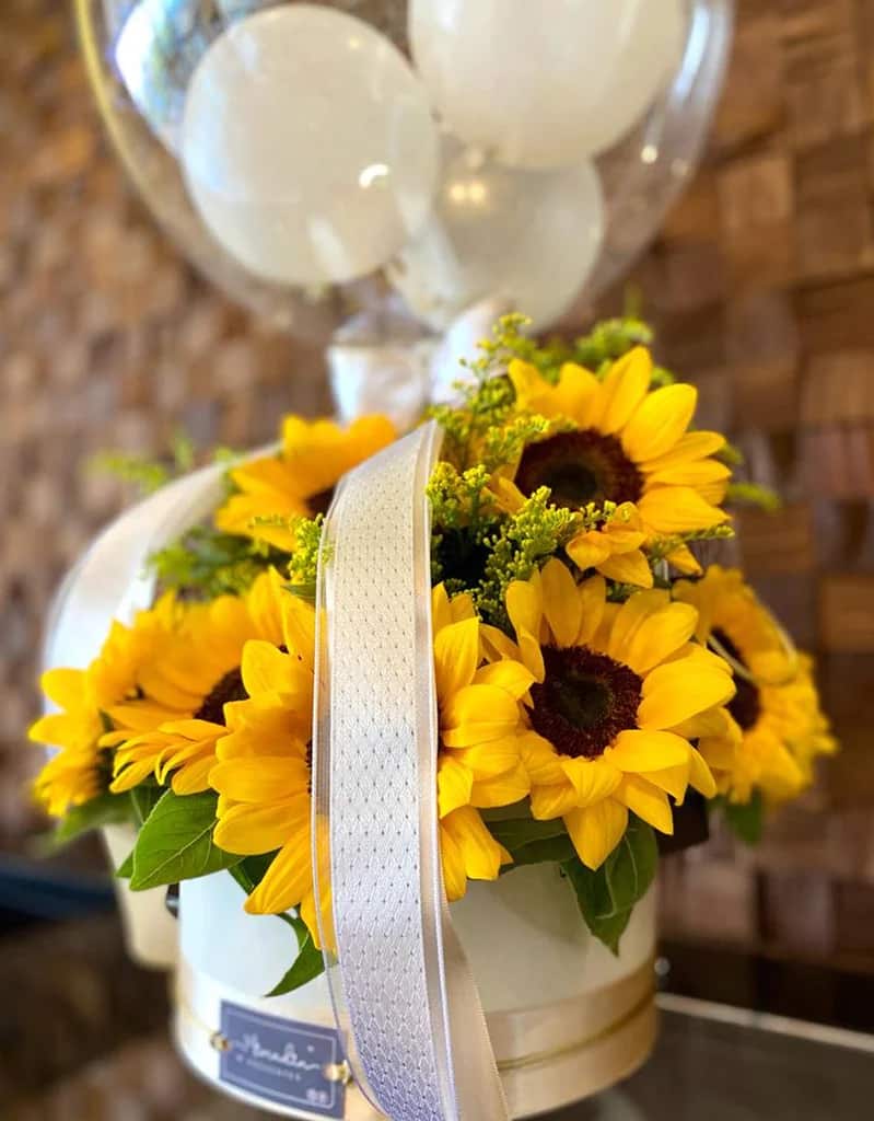 Box Happiness de Girassóis