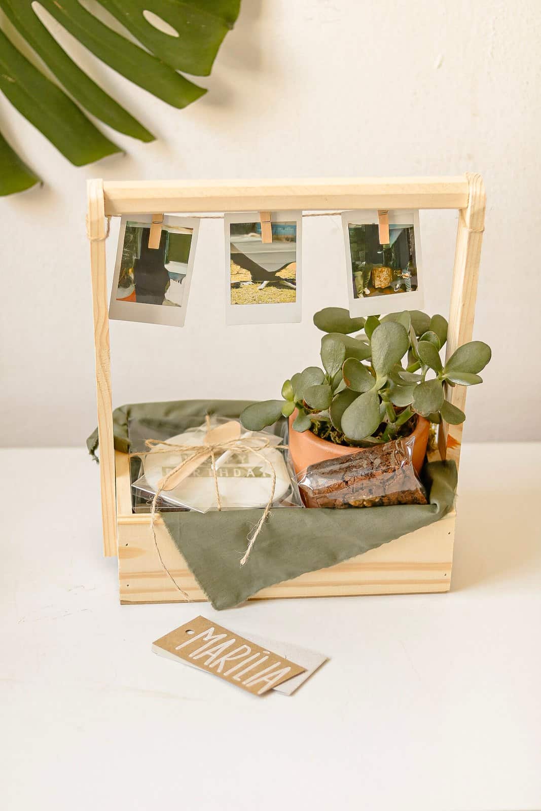 Caixote Niver com Planta 2