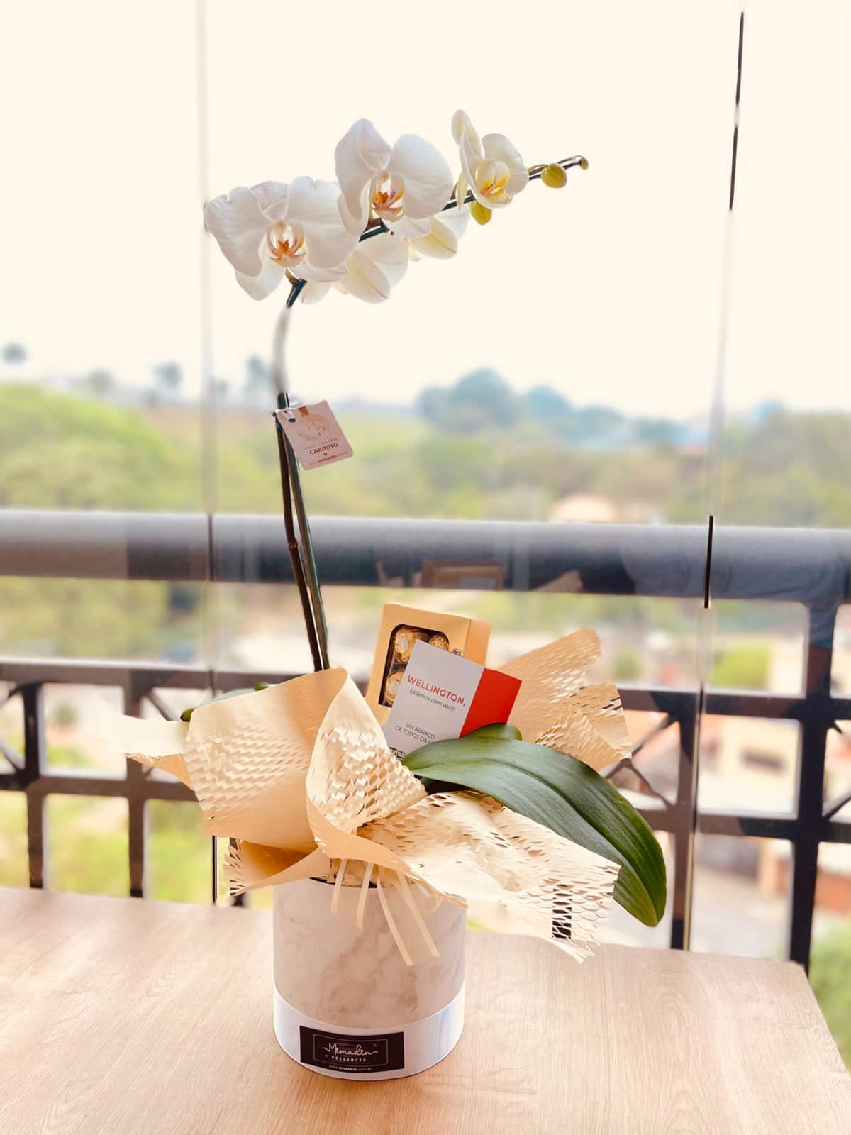 Mimo estamos com você