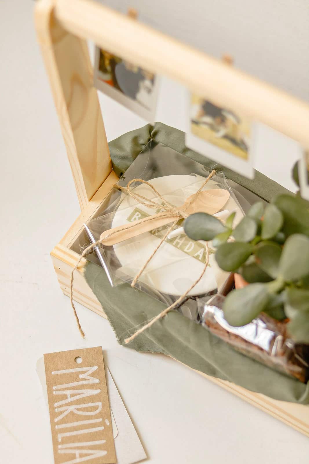 Caixote Niver com Planta 3