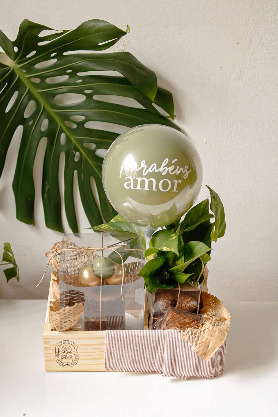 Caixote Festa com Planta 1