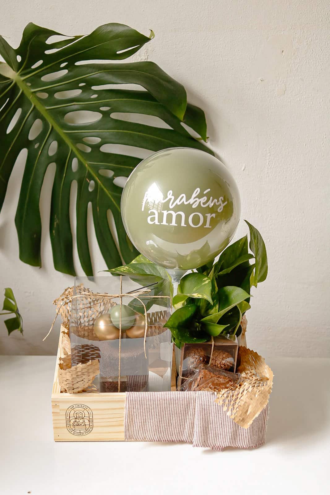 Caixote Festa com Planta