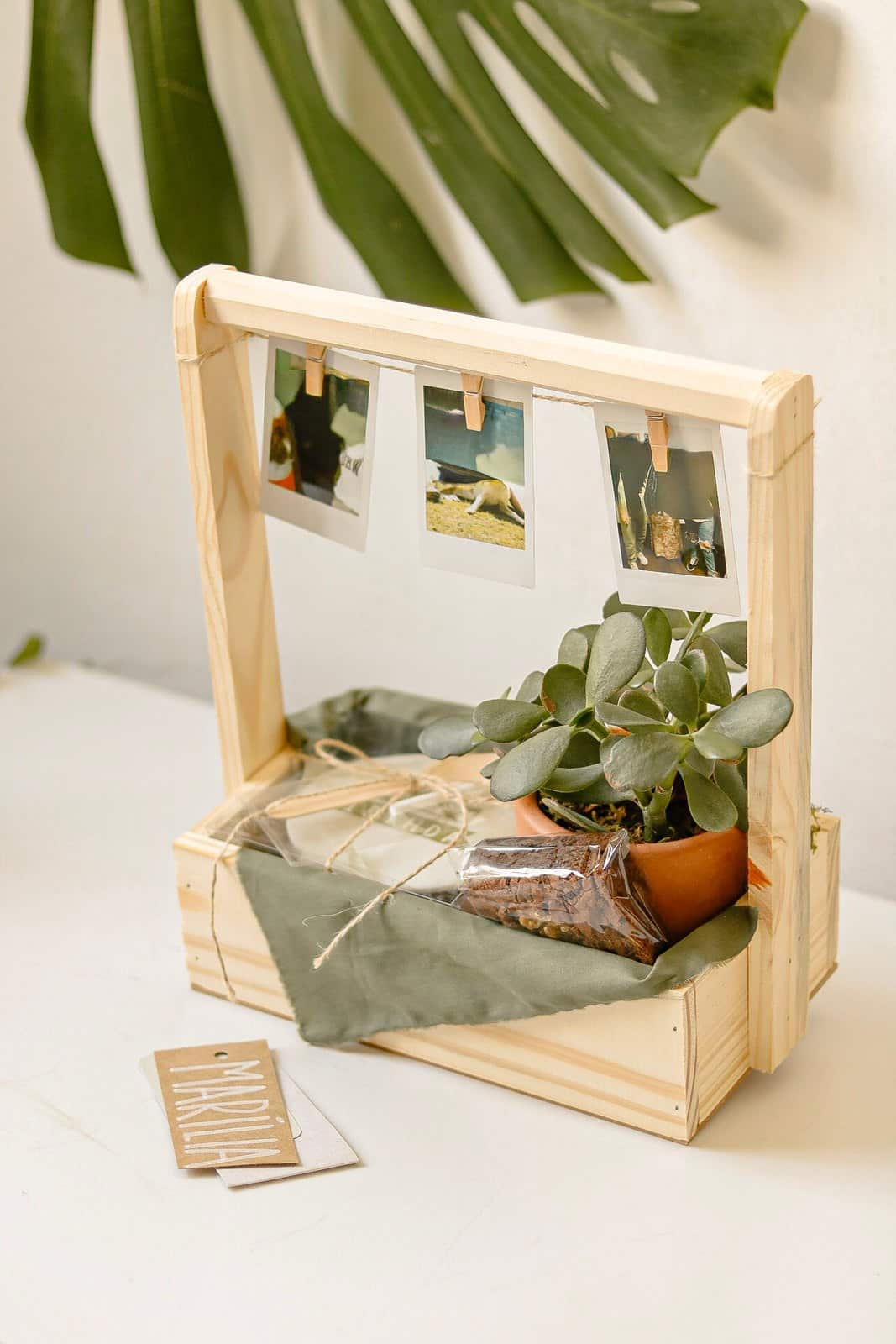 Caixote Niver com Planta 1