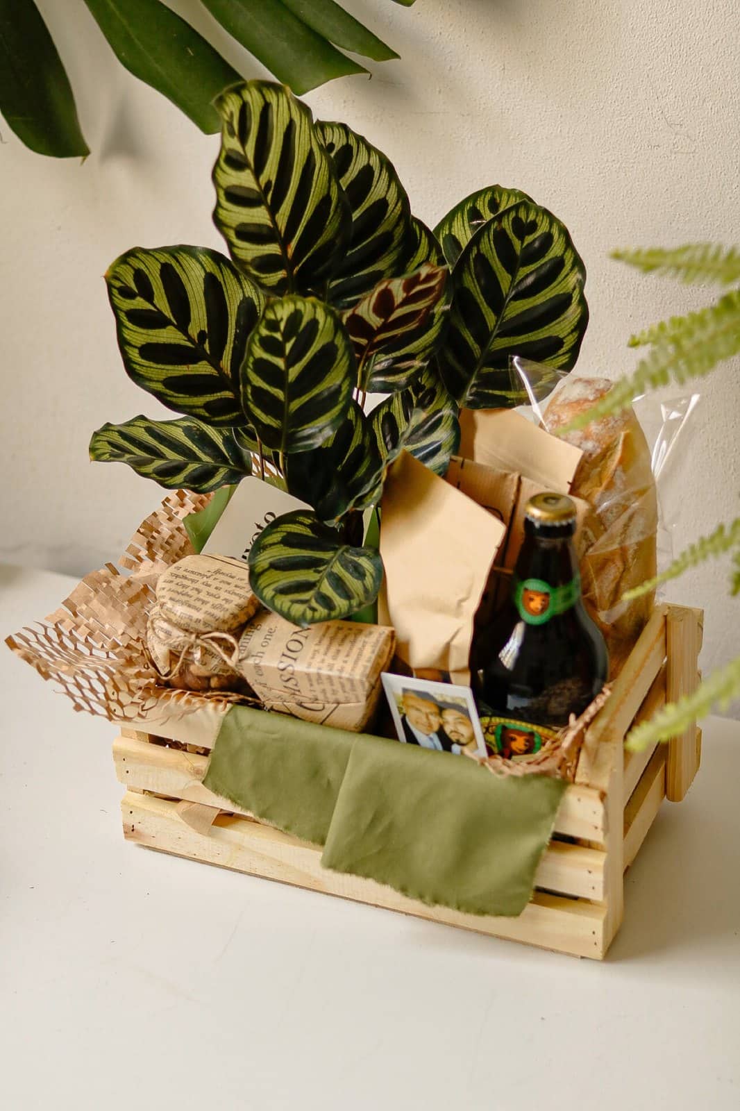 Caixote Maranta Colorado Lote 3