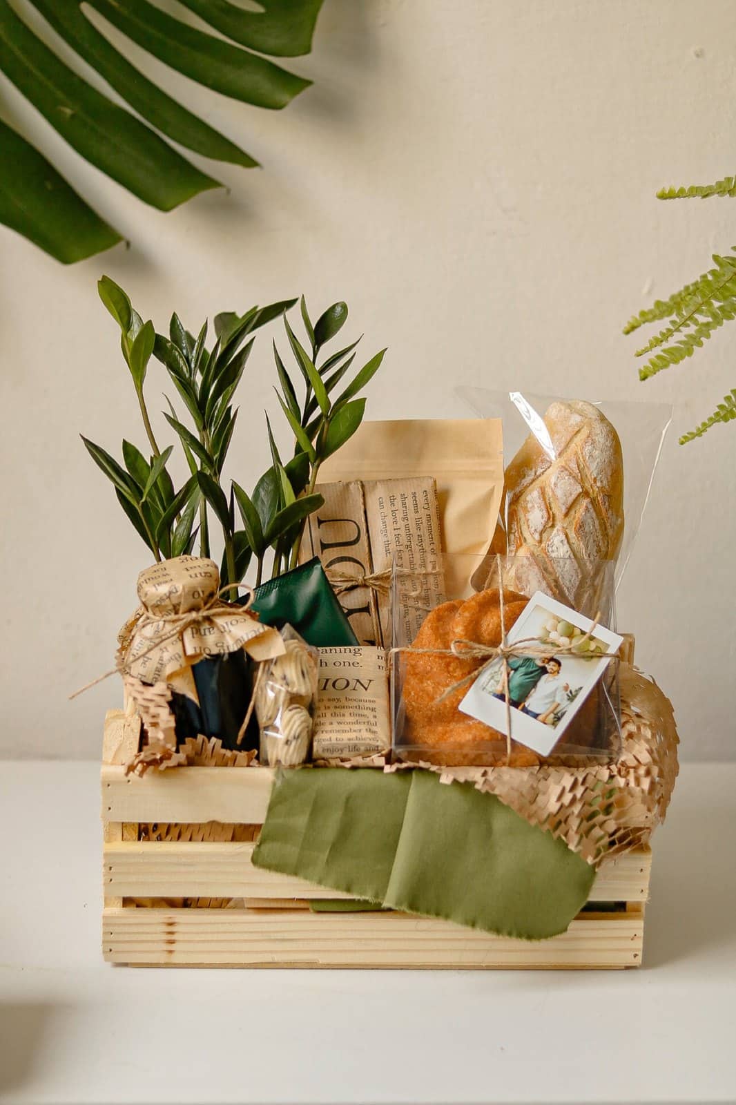 Caixote Café Zamioculca