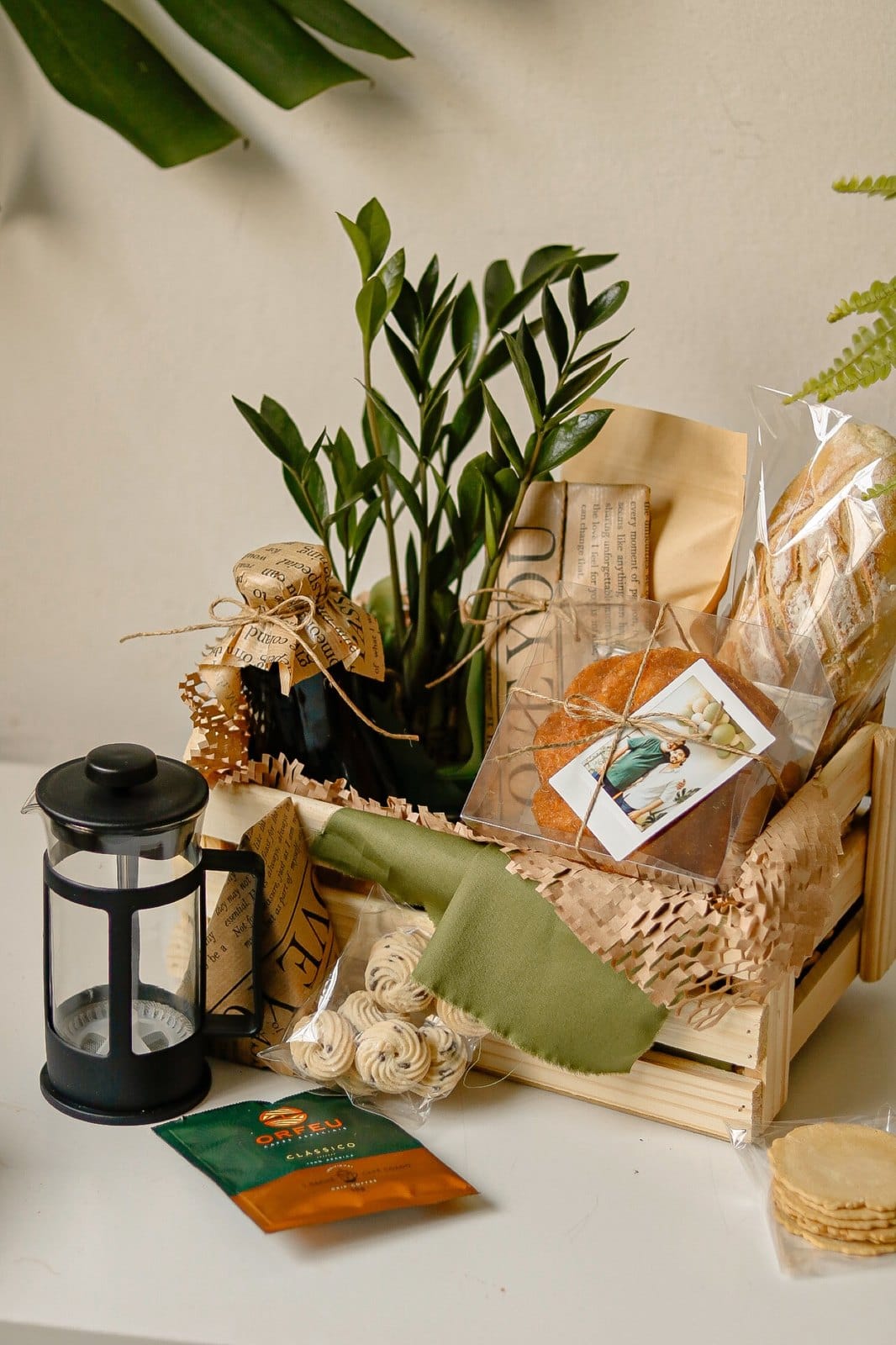 Caixote Café Zamioculca