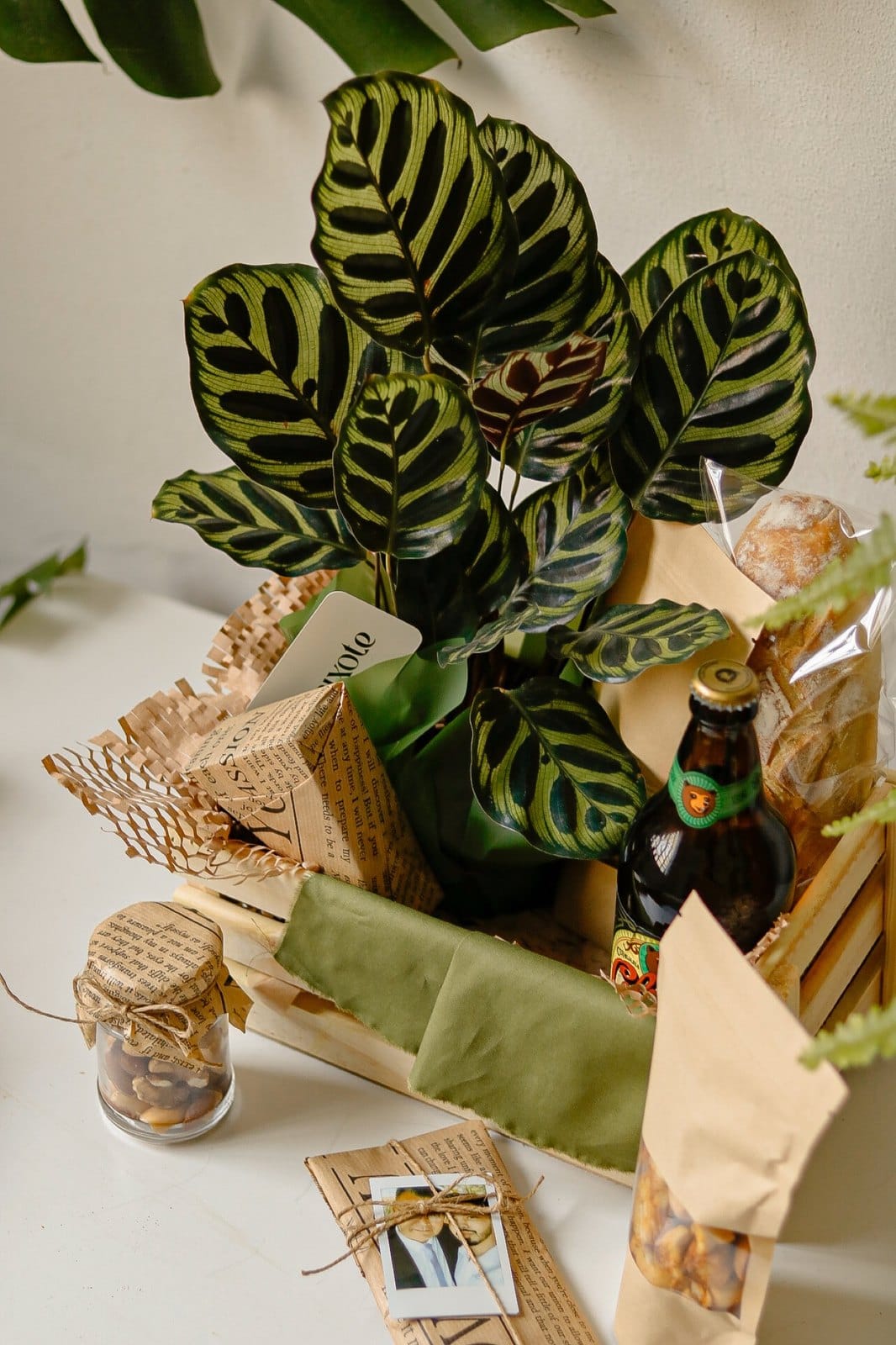 Caixote Maranta Colorado Lote 3