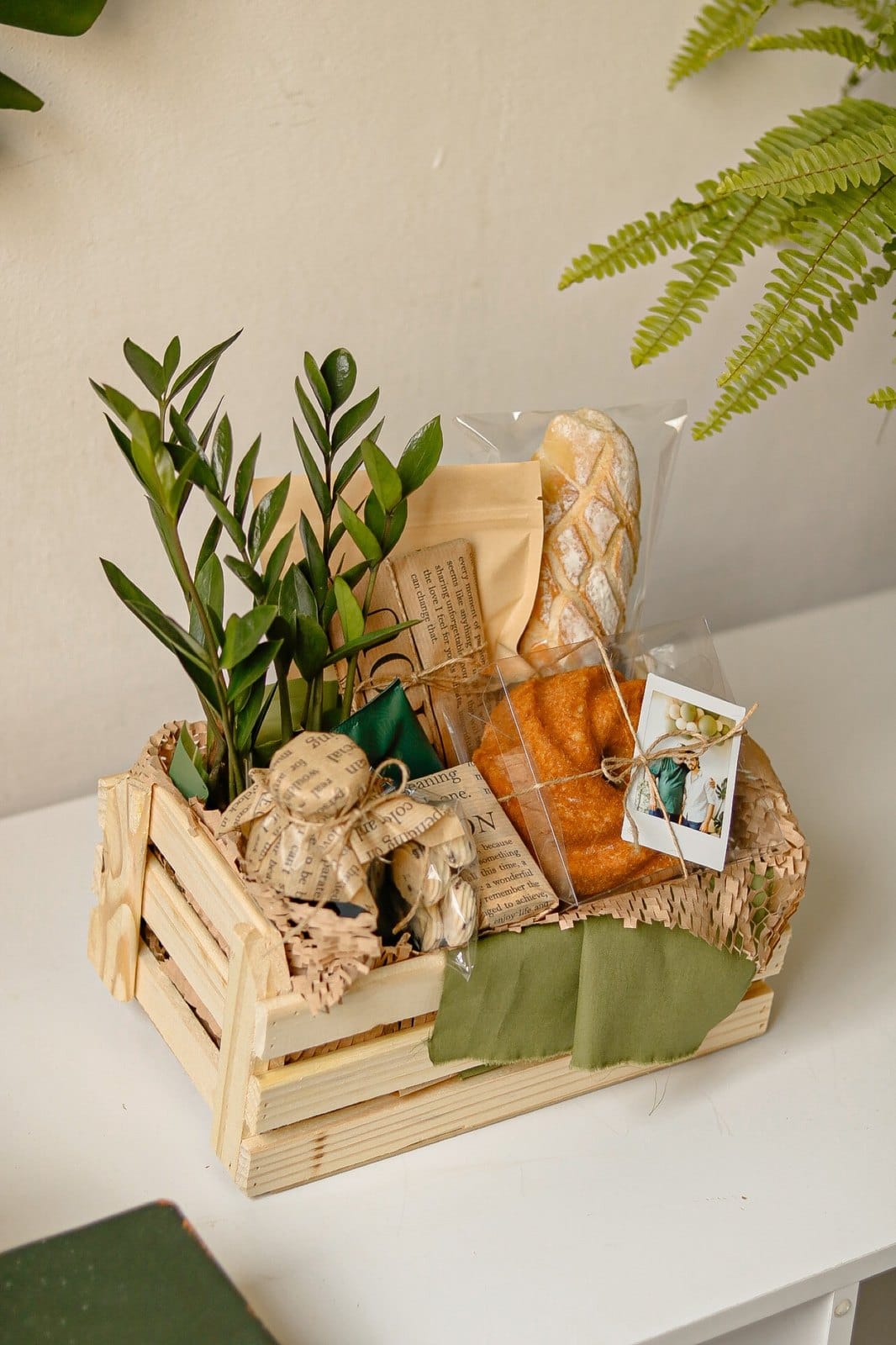 Caixote Café Zamioculca