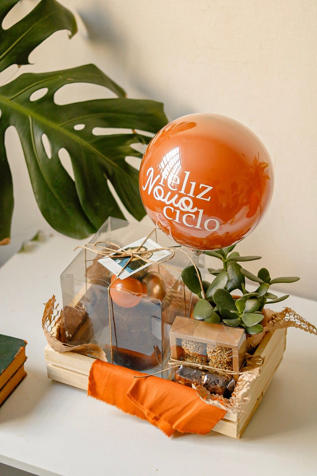 Caixote Festa com Planta