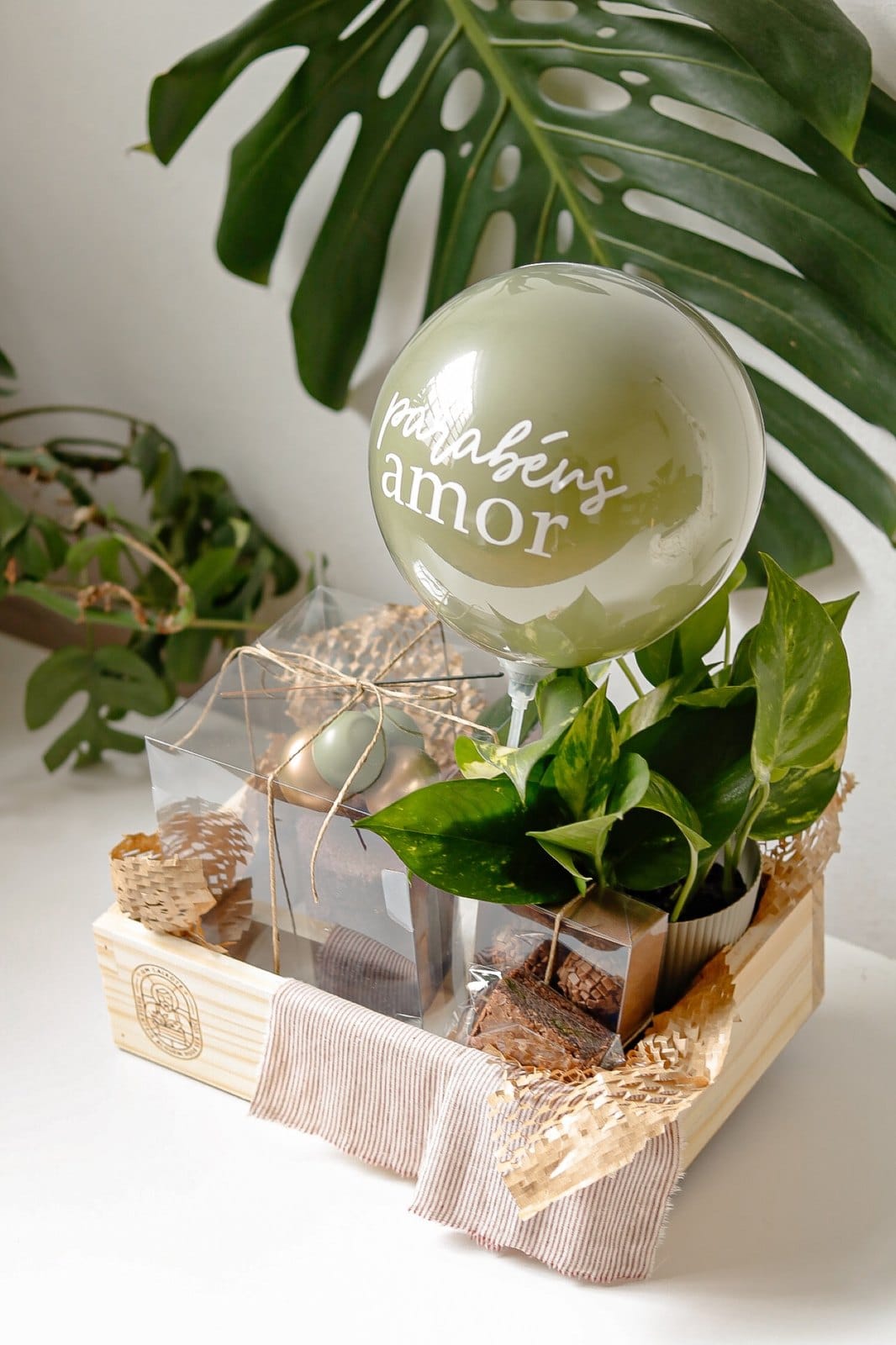 Caixote Festa com Planta