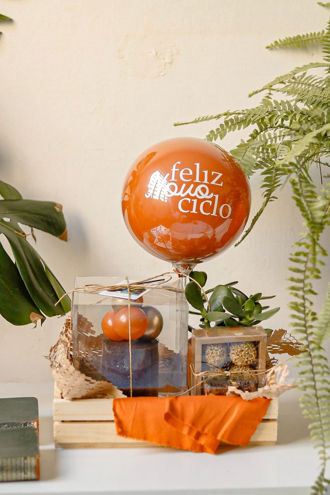 Caixote Festa com Planta