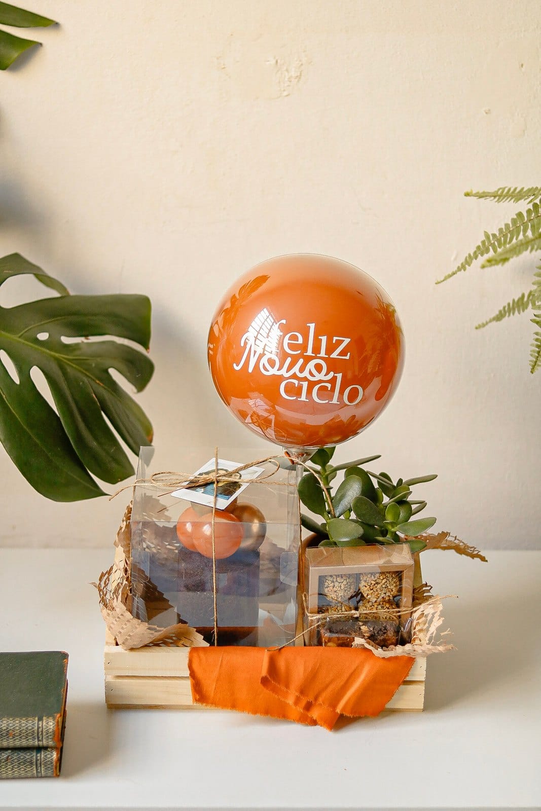 Caixote Festa com Planta