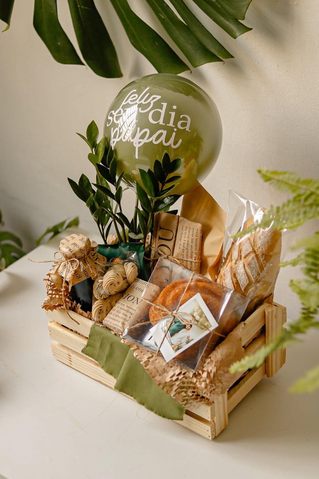 Caixote Café Zamioculca