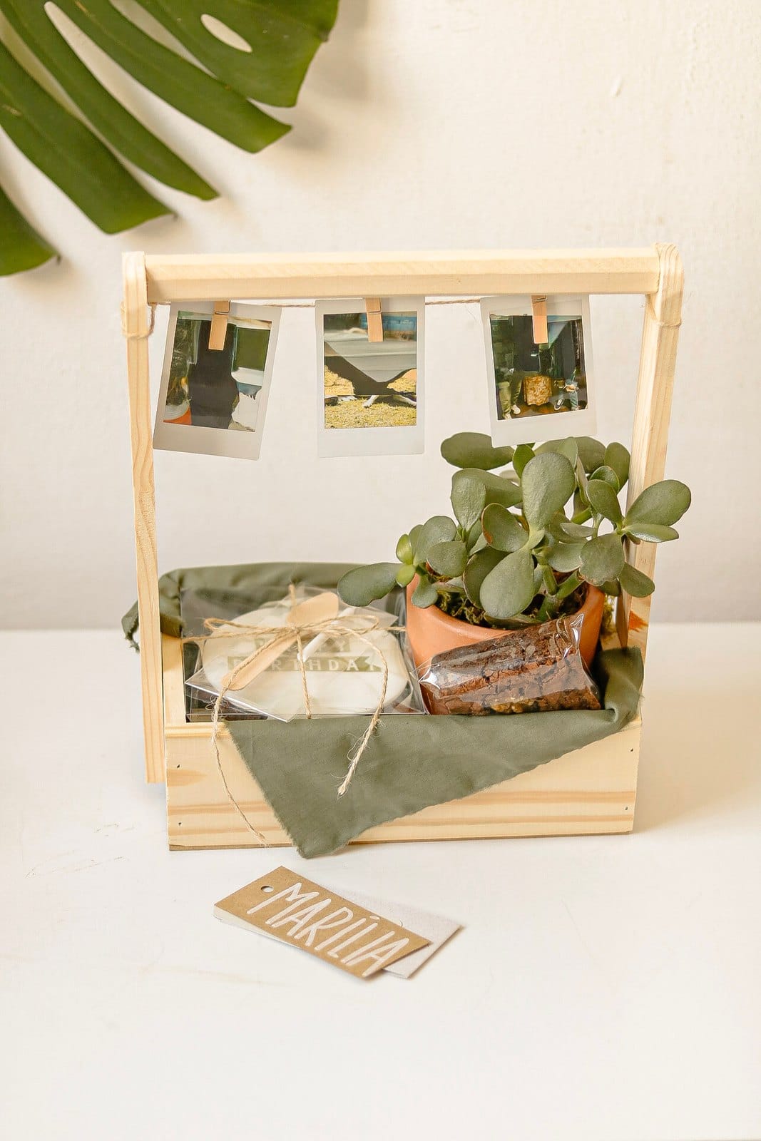 Caixote Niver com Planta