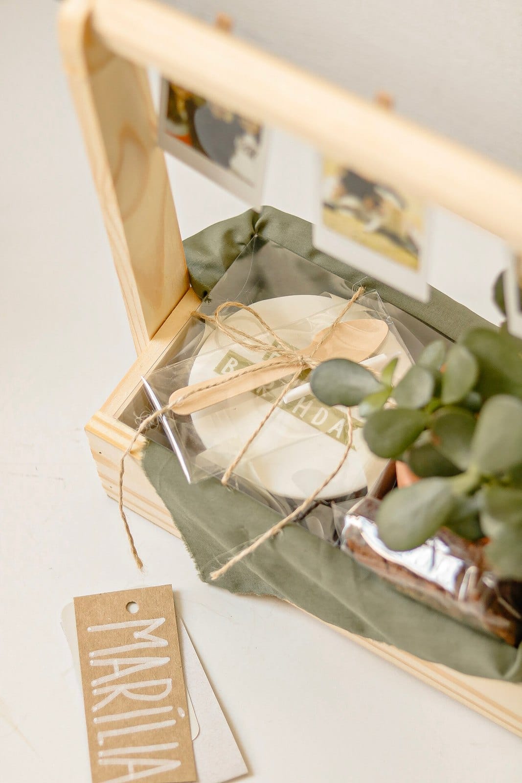 Caixote Niver com Planta