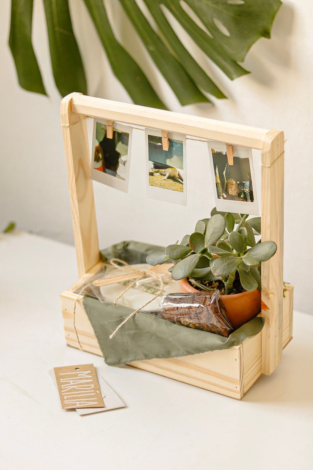 Caixote Niver com Planta